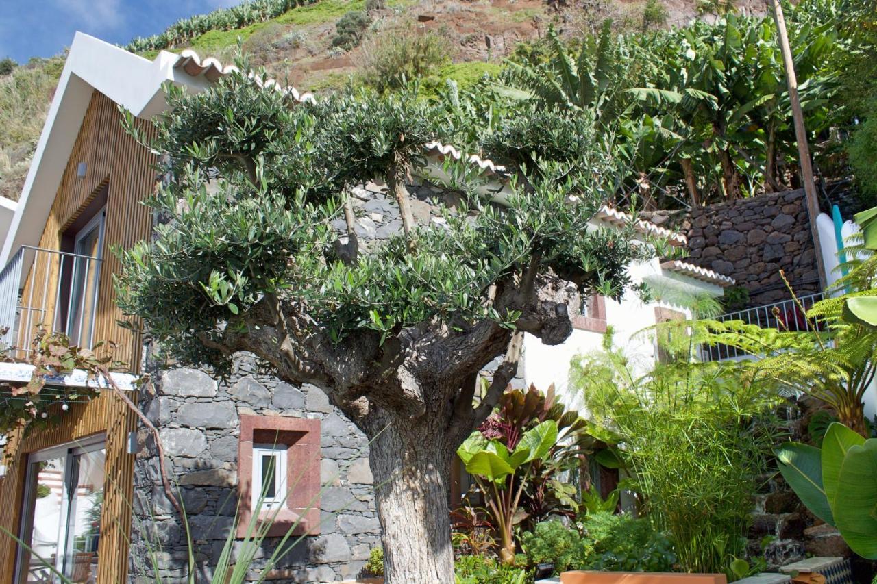 Ourmadeira - Villa Do Mar Iv, Secluded كالهيتا المظهر الخارجي الصورة